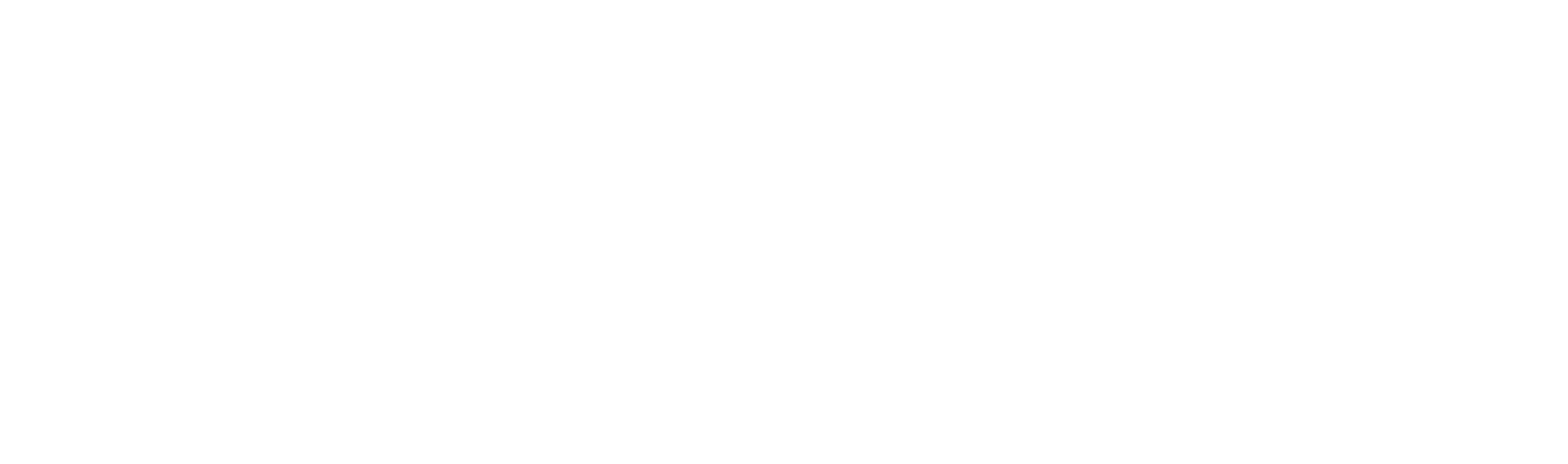 The Gypsy Poet — Artisan Pizza